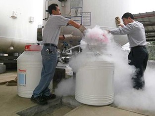 食品级麻豆91在线视频